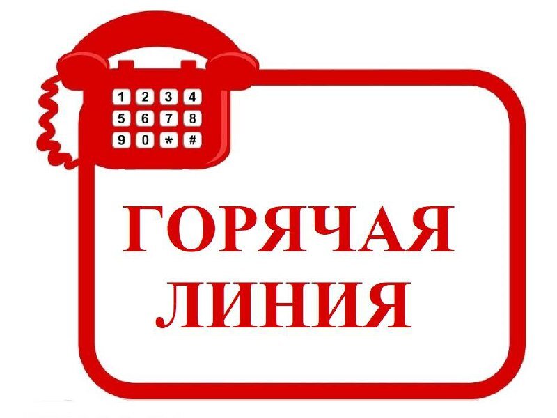 Горячая линия для связи с родственниками без вести пропавших участников СВО.