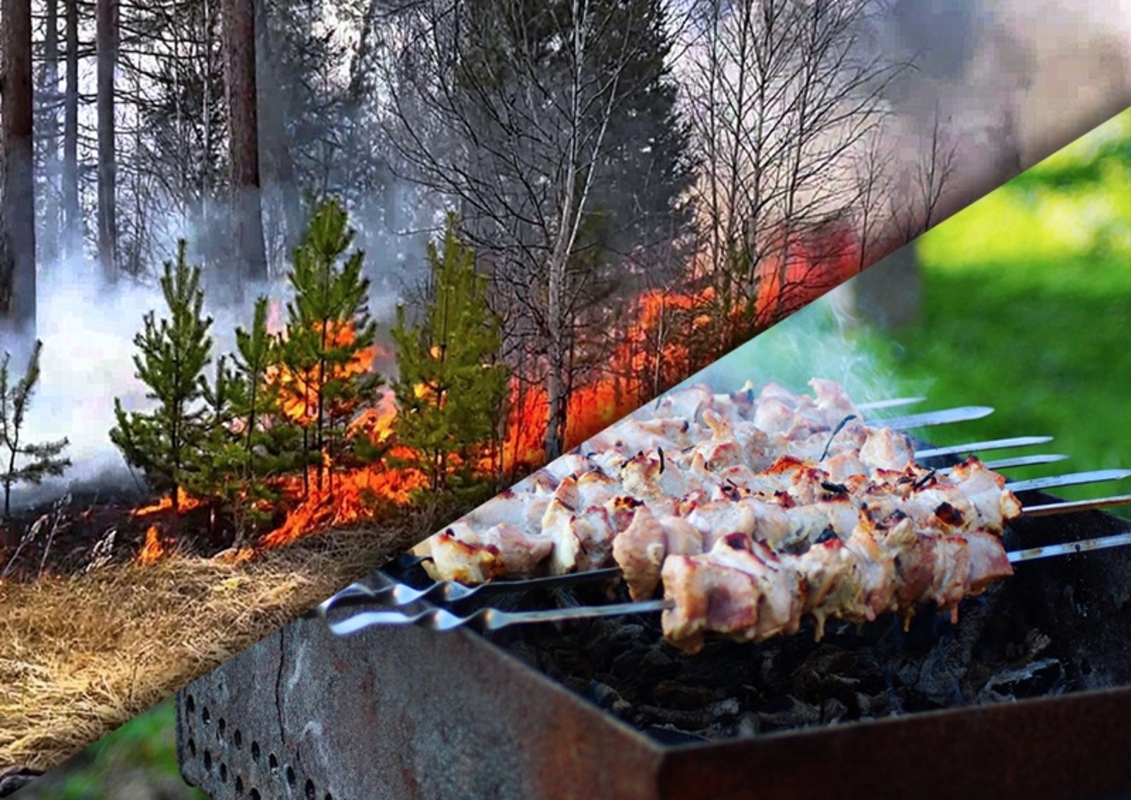 Сезон дач и шашлыков-основные правила.