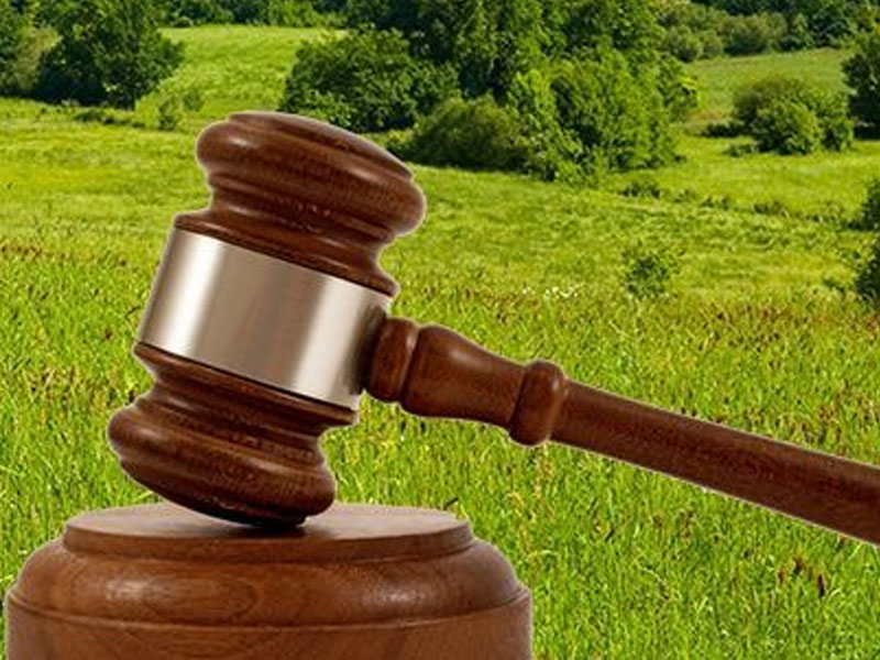 Протоколы об определении участников аукциона на право заключения договоров аренды земельных участков №21000021040000000117.