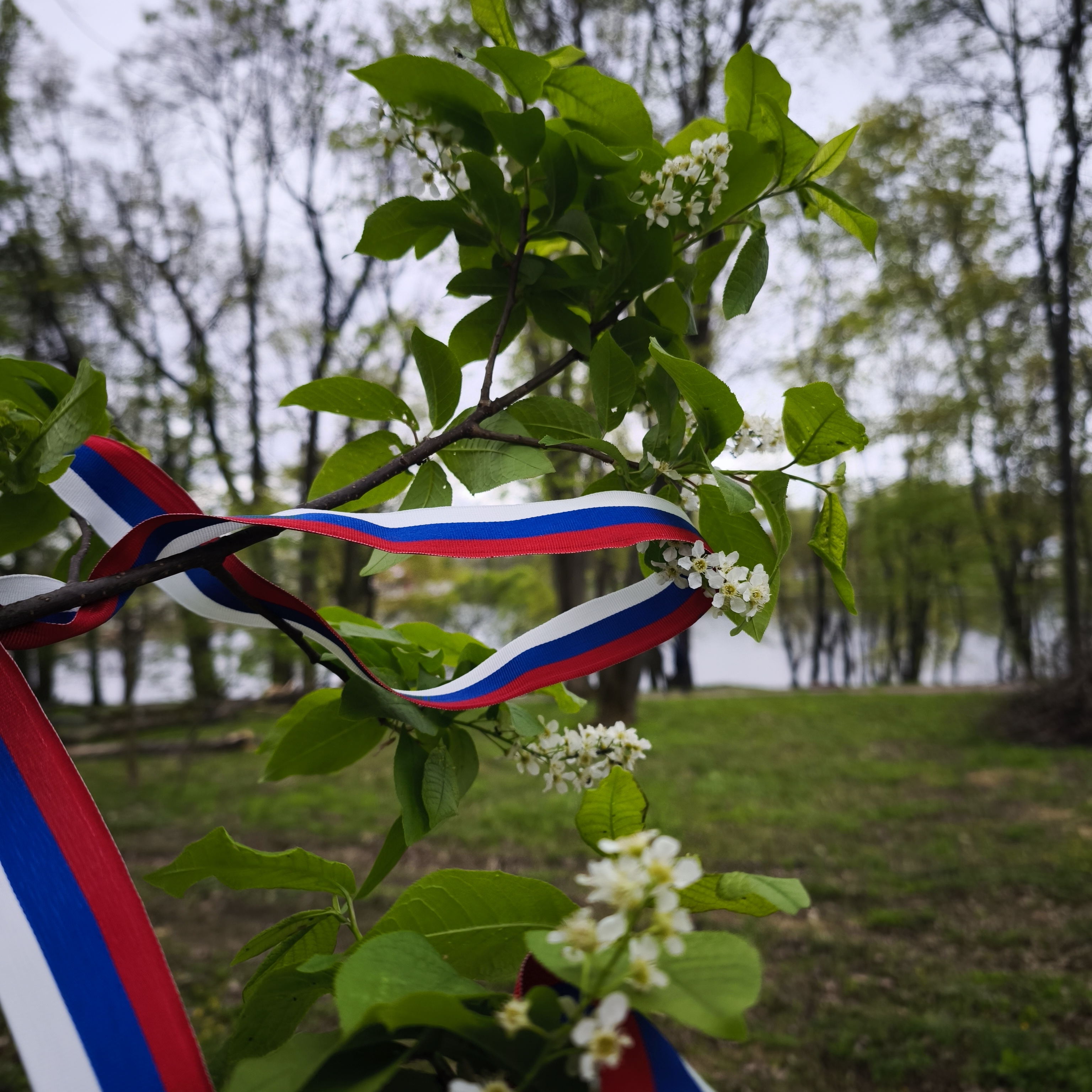 Уважаемые богородчане! Впереди первомайские праздники и знаменательная для всех дата - 80-я годовщина Победы в Великой Отечественной войне!.