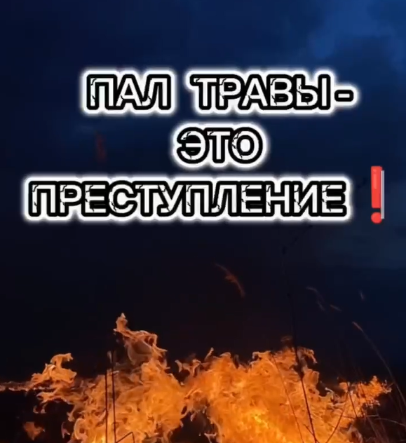Пал травы - большой пожар!.