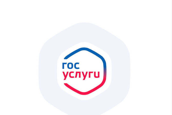 Преимущества работы с порталом Госуслуги.