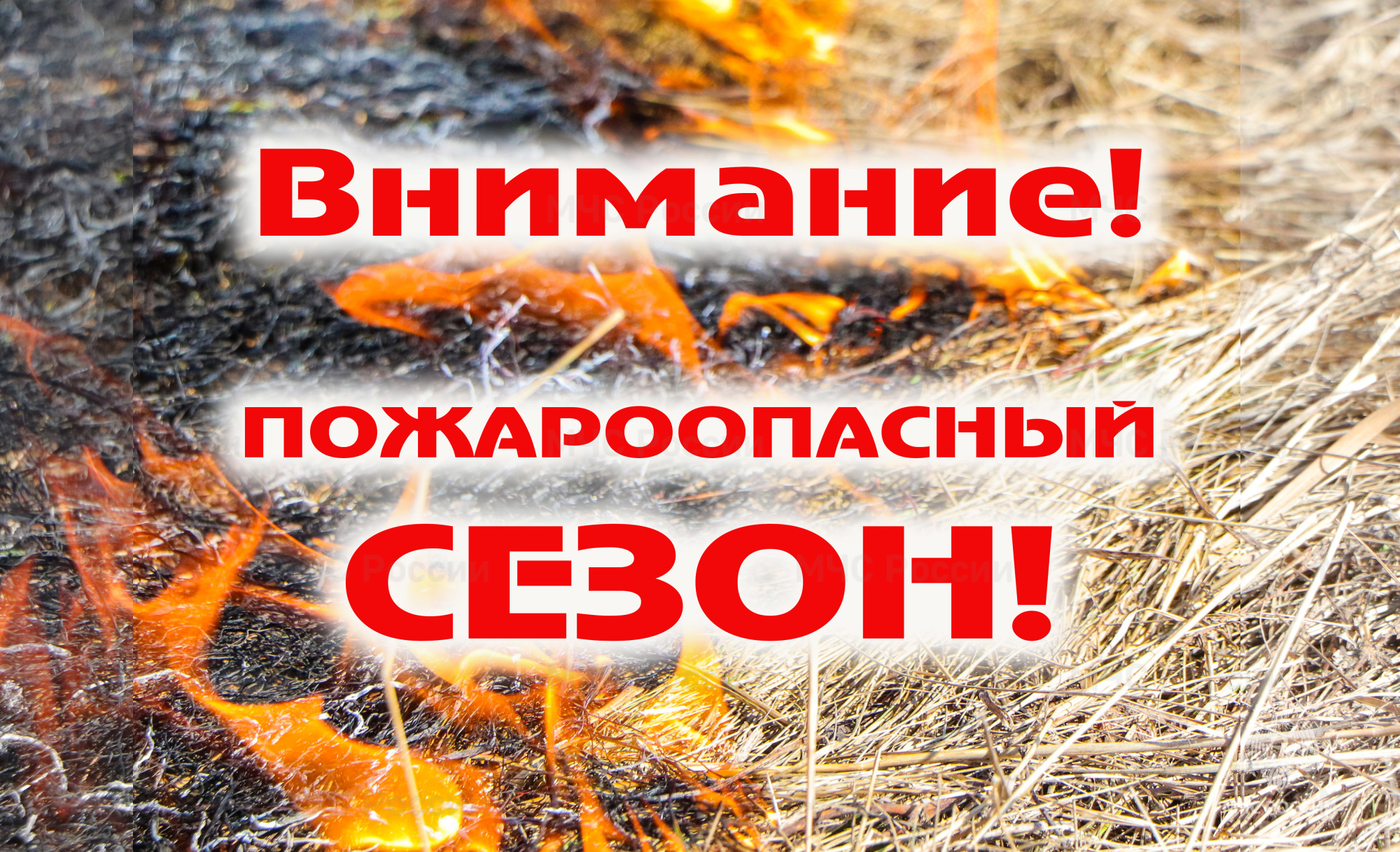 Как правило с начала апреля в Тульском регионе устанавливается пожароопасный сезон.