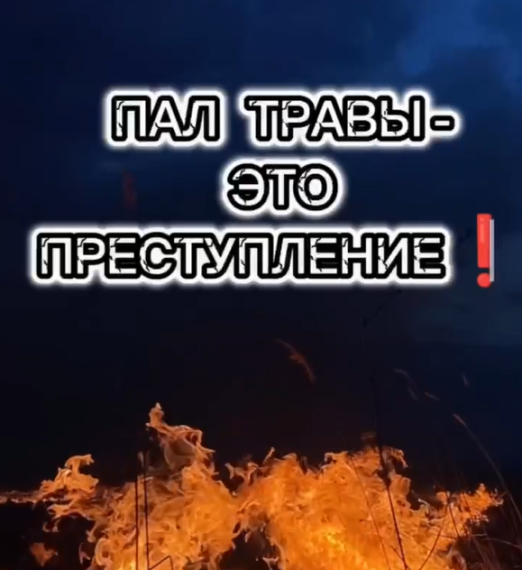 Пал травы - большой пожар!. Пал травы - большой пожар!.
